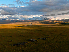 ��� �� �����-�����-��� � ���������� ���������