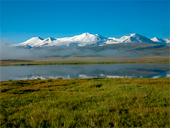 �����-�����-��� - ���� ��������� ������